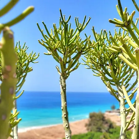 Villa Jardin Del Mar, Esquinzo, Garten, Meerblick